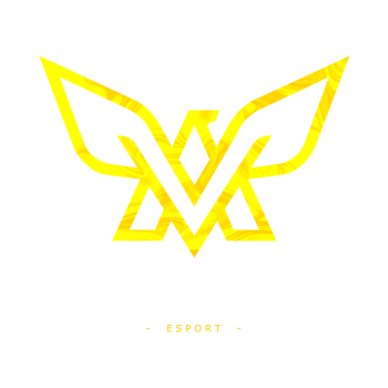 LMG ESPORT
