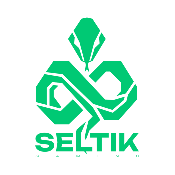 SELTIK GAMING