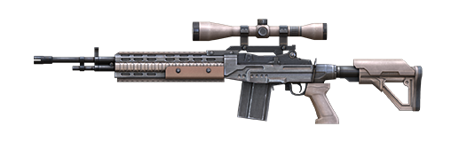 M21A5